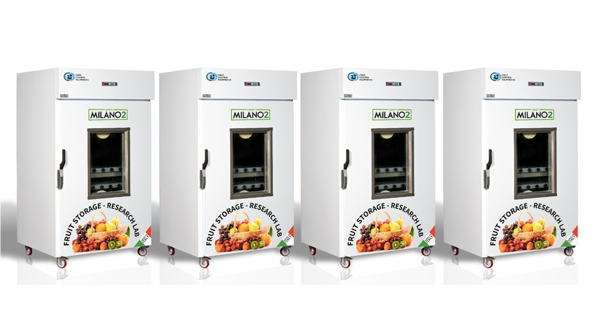 DCA-Swinglos® la tecnología de Fruit Control aplicada al kiwi de pulpa amarilla.jpg